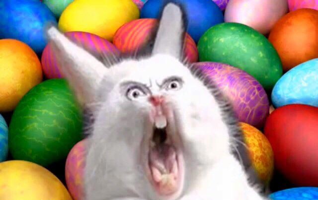 Preview for Shocked-easter-bunny-eggs-easter-meme-background-44f40