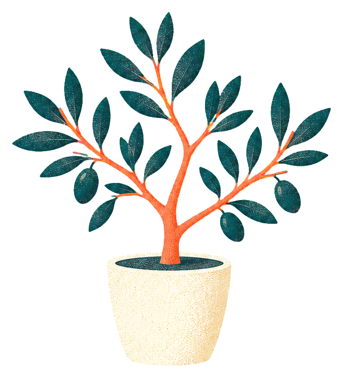 Preview for Risograph Houseplants Olive Sapling