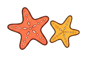 Two outlined starfish, one coral and one mustard, shown as a sticker graphic.