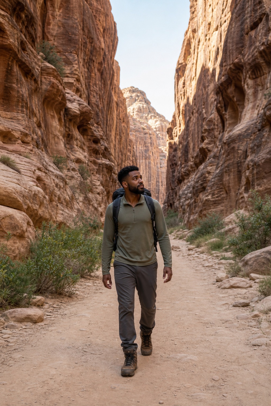 Preview for Vertical Canyon Path Background