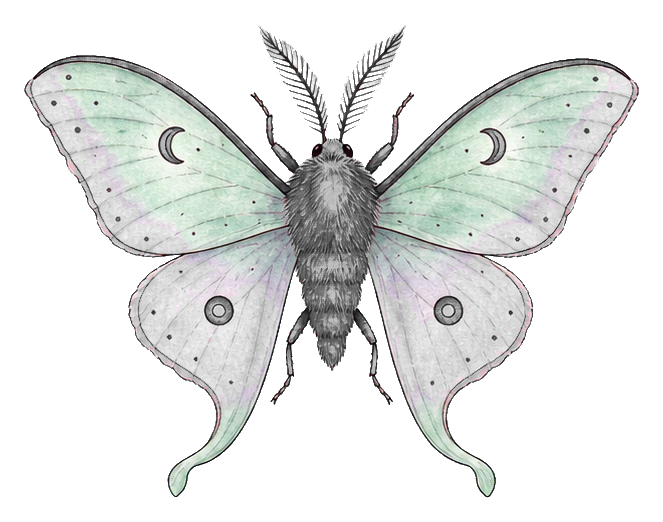 Preview for Mint Moon Moth Sticker