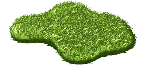 Preview for Green-grass-texture-black-background-islandobjects-sticker-97494