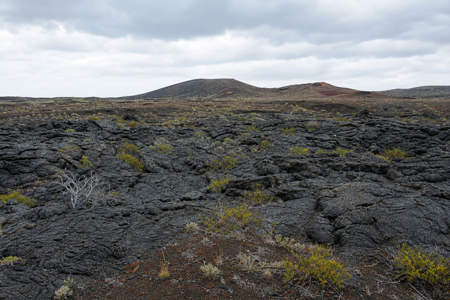 Preview for Cooled Lava Field Background