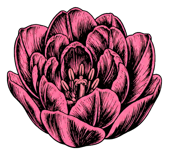 Preview for Folk Tulip Sticker Graphic