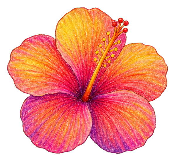 Pastel crayon-style hibiscus flower in pink, orange, and yellow tones