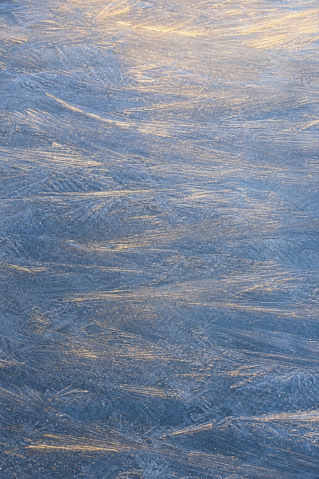 Blue frosted ice surface with fine wind-etched frost patterns and warm highlights