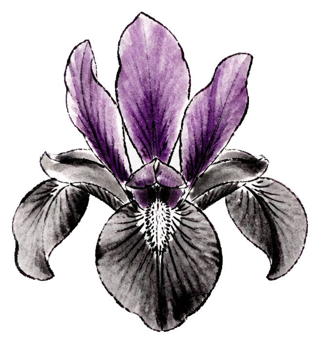 Preview for Siberian Iris Ink Wash Sticker