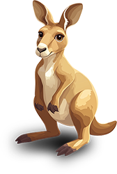 Preview for Cartoon-kangaroo-illustration-animal-sticker-18797