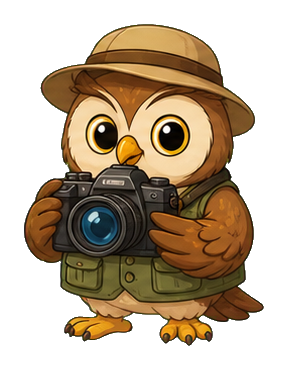Cute owl wearing a hat and holding a camera with a backpack