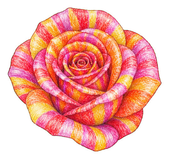 Pastel striped rose drawn in a crayon style as a sticker graphic.