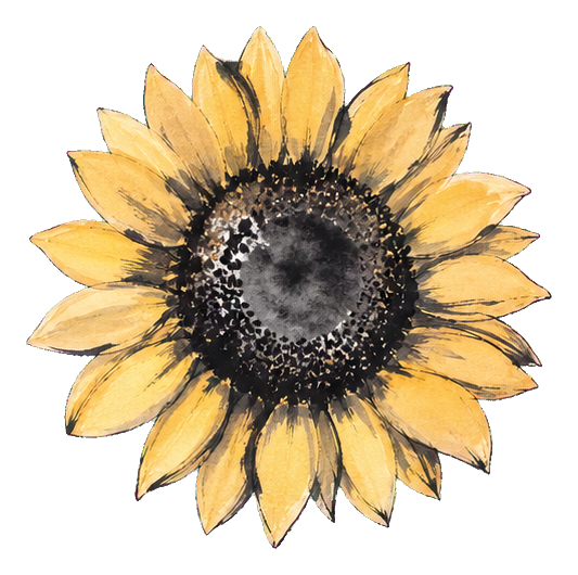 Preview for Sunflower Sumi Ink Sticker