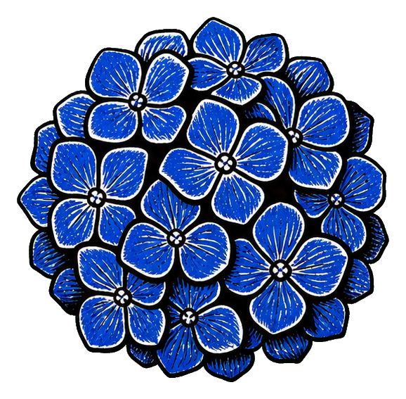 Preview for Blue Hydrangea Sticker Graphic
