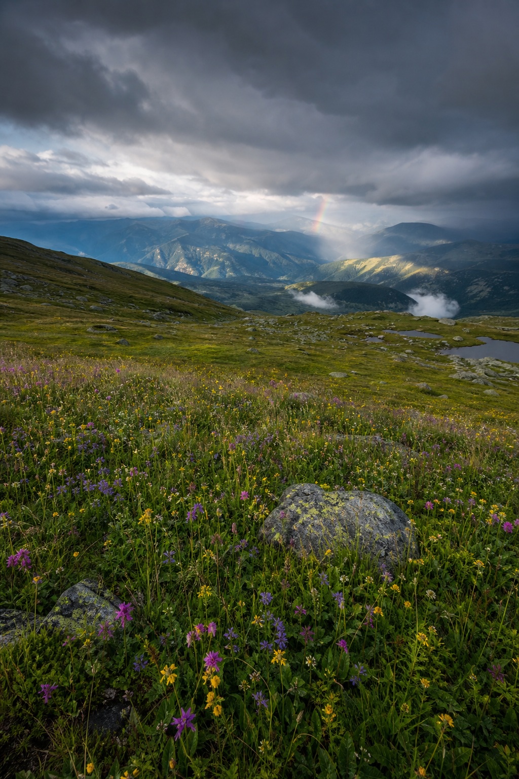 Preview for Mountain Meadow Storm Clearing Background