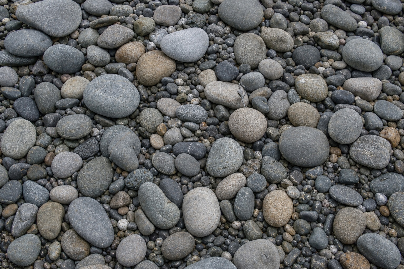 Preview for Neutral Gray Pebble Bed Stock Background