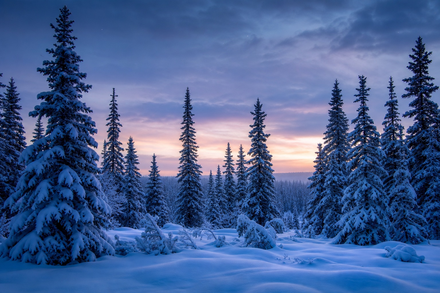 Preview for Blue Hour Snowy Pine Forest Background