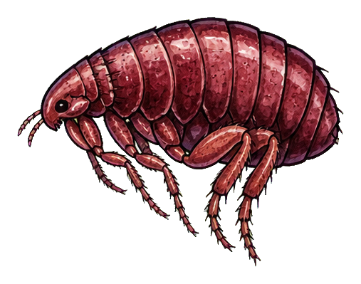 Preview for Burgundy Flea Sticker For Nature Designs