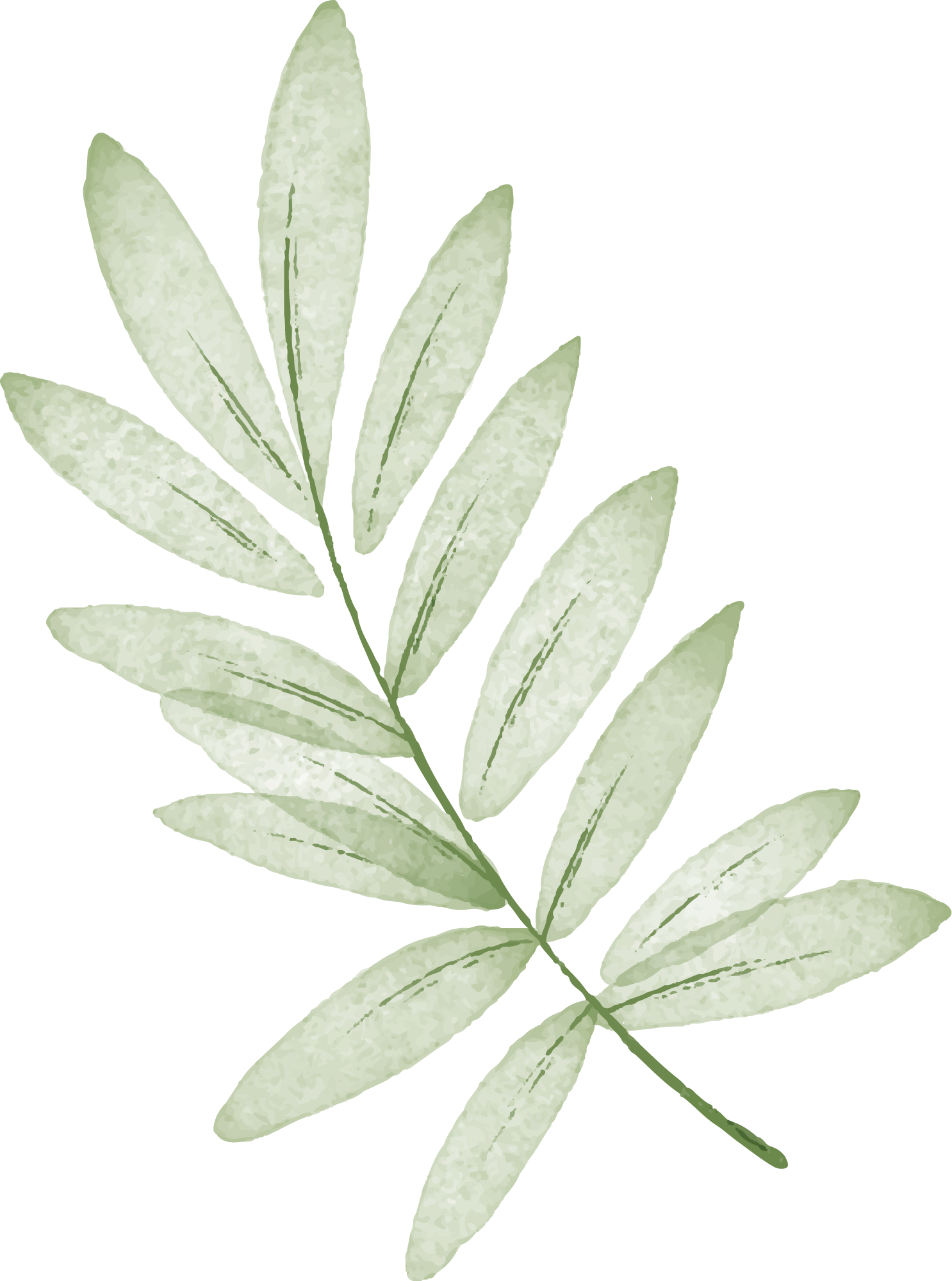 Preview for White-laurel-branch-illustration-spring-sticker-4e146