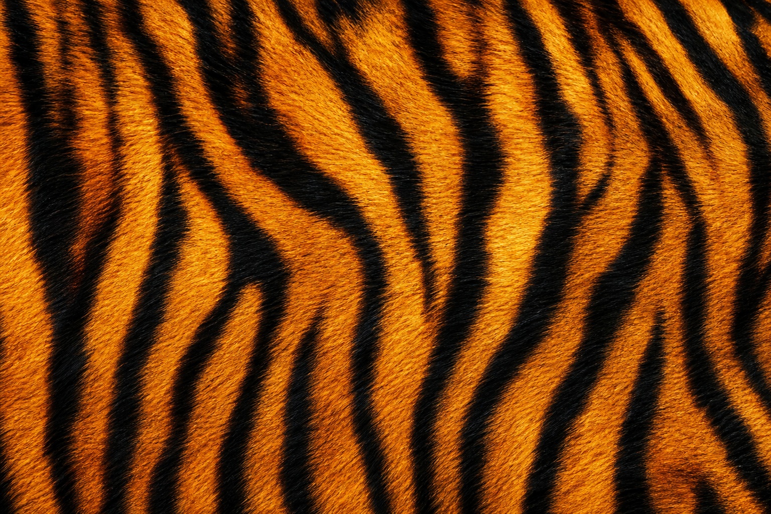 Preview for Tiger Print Animal Background Pattern
