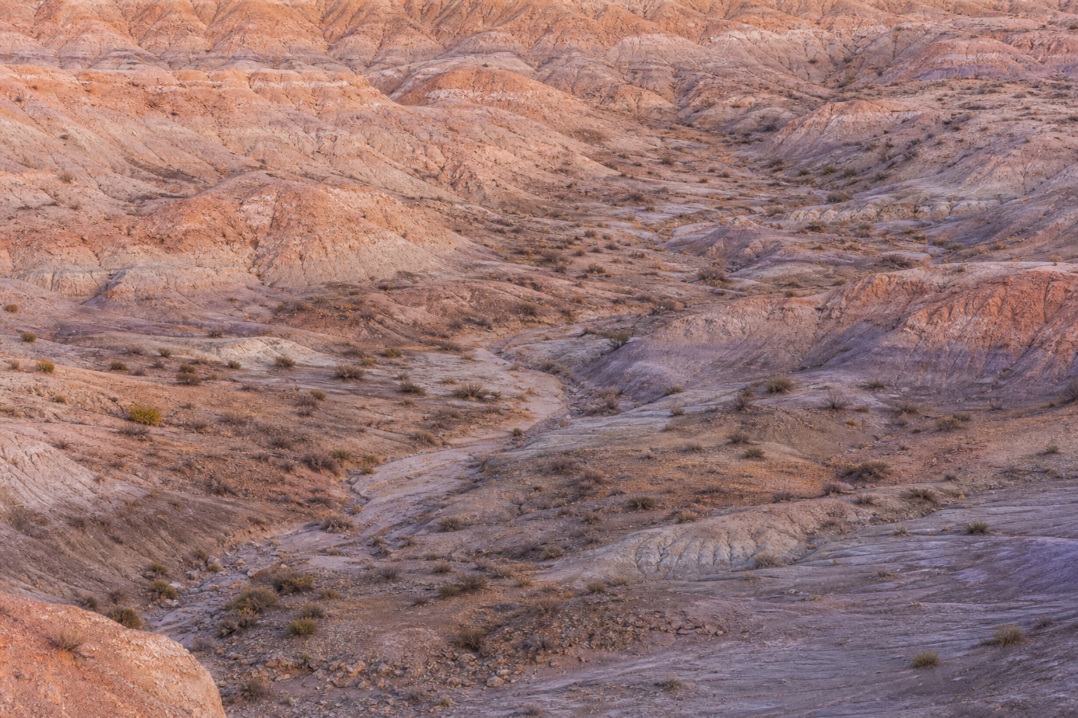 Layered badlands hills with eroded mineral gullies under soft pale dawn light.