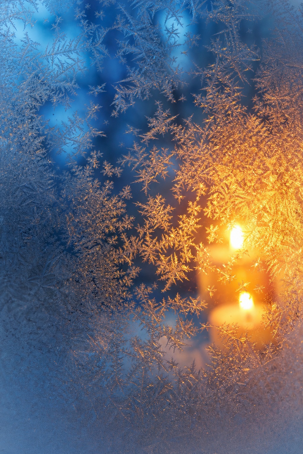 Preview for Winter Solstice Candlelight Background