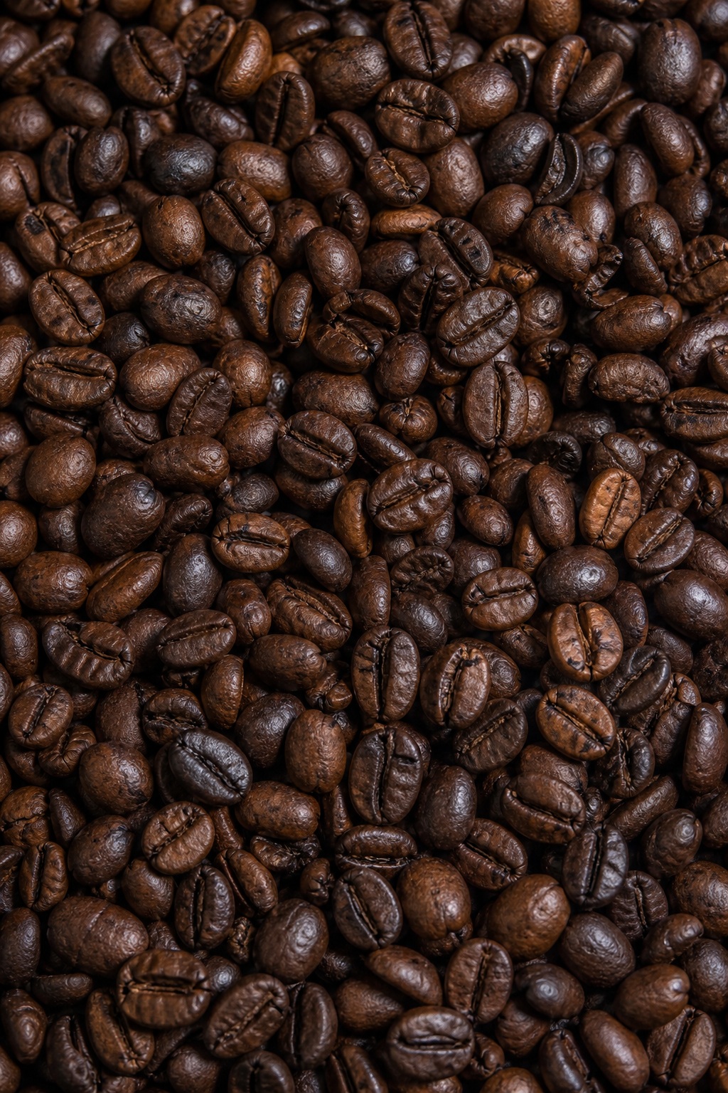 A full frame of dark roasted coffee beans forming a textured background