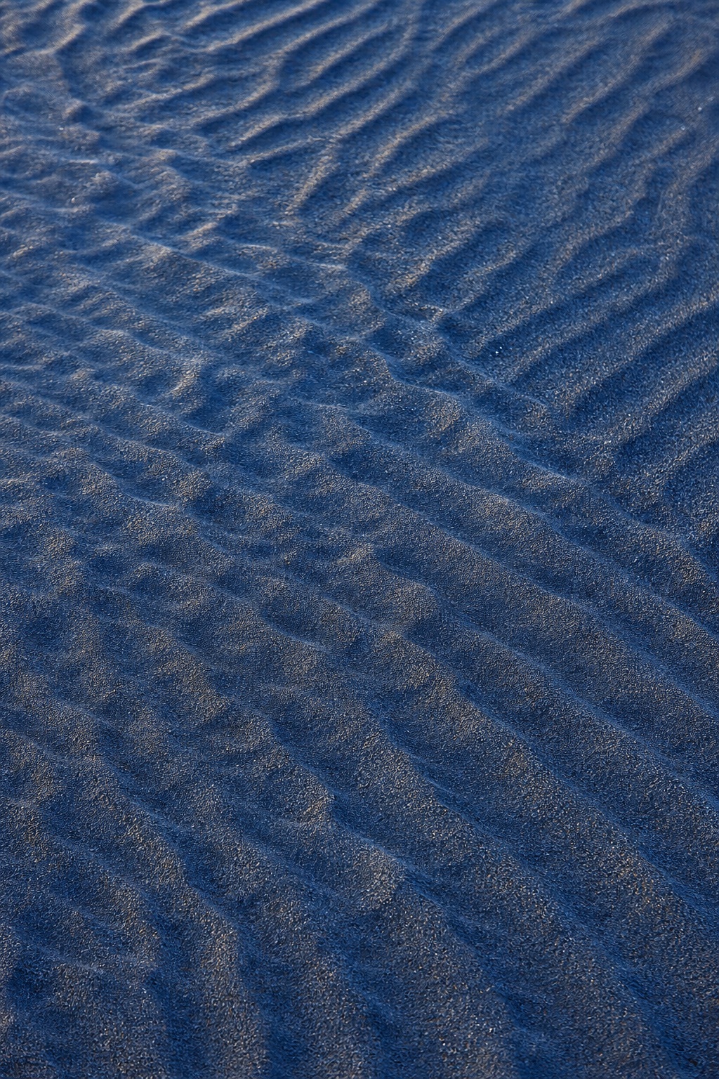 Preview for Blue Hour Sand Ripples Background