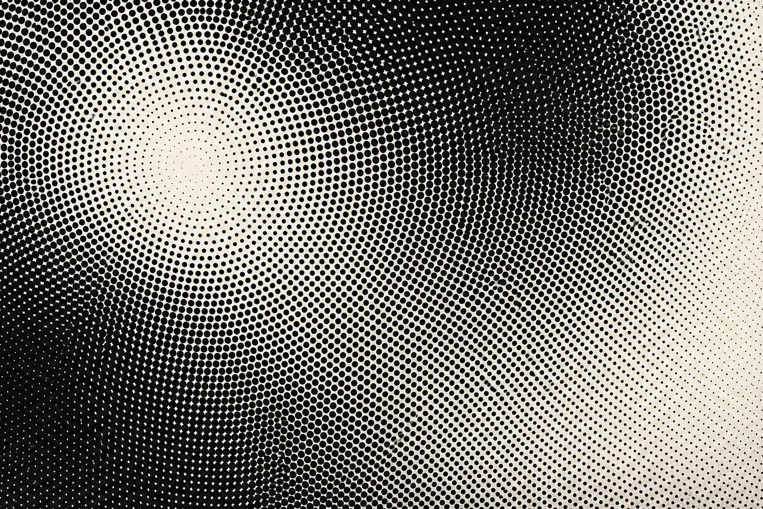 Preview for Black White Radial Dot Bloom Background
