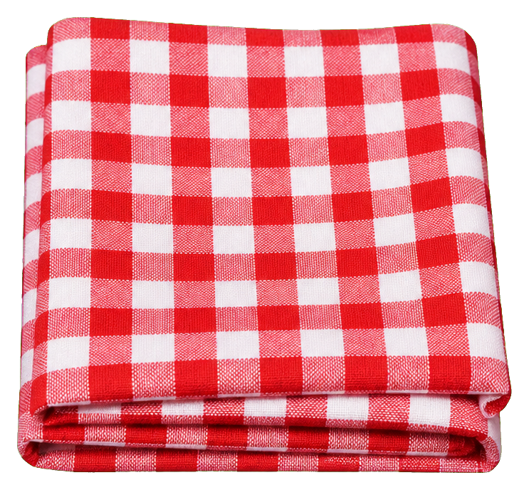 Folded red and white gingham fabric swatch with visible layered edges
