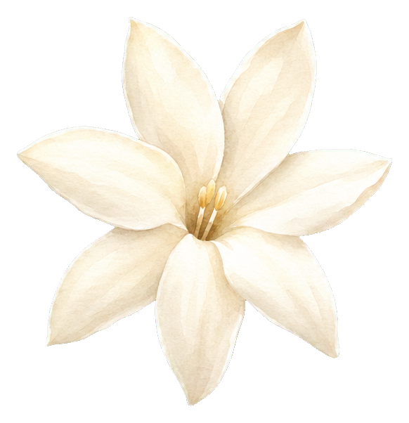 Preview for White Jasmine Sticker Graphic