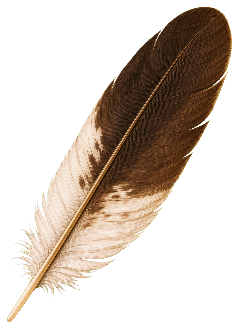 Preview for Eagle Feather Sticker Graphic
