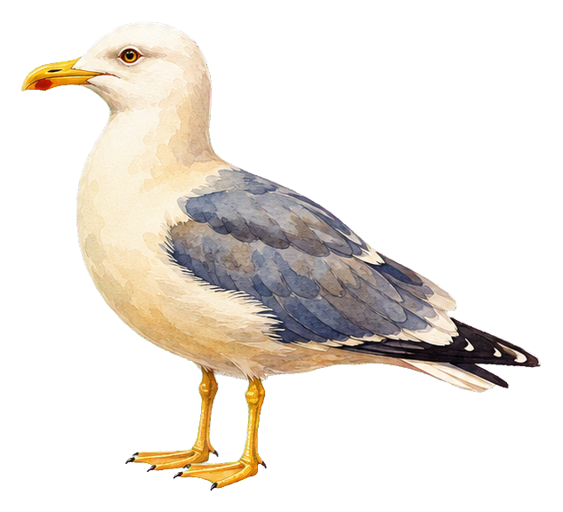 Preview for Watercolor Seagull Sticker