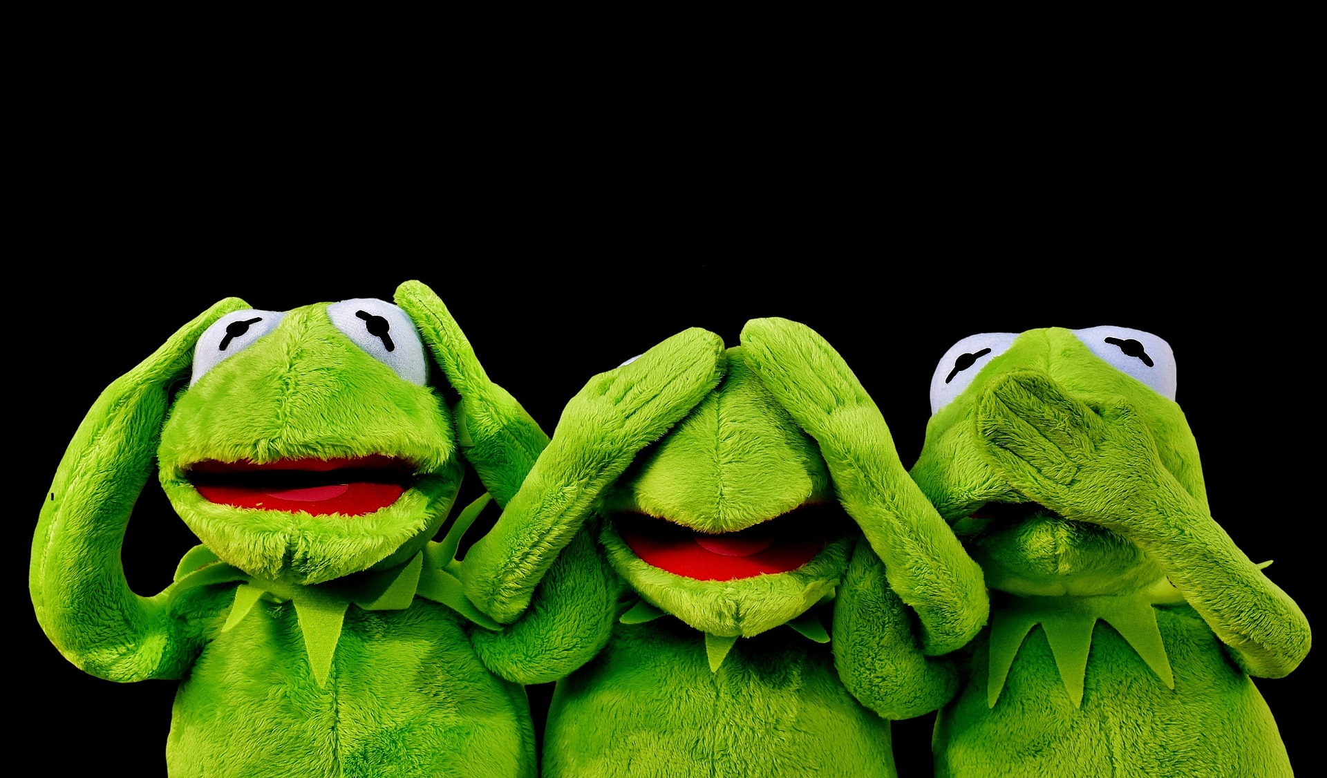 Preview for Kermit-three-wise-monkeys-animal-meme-background-61f15