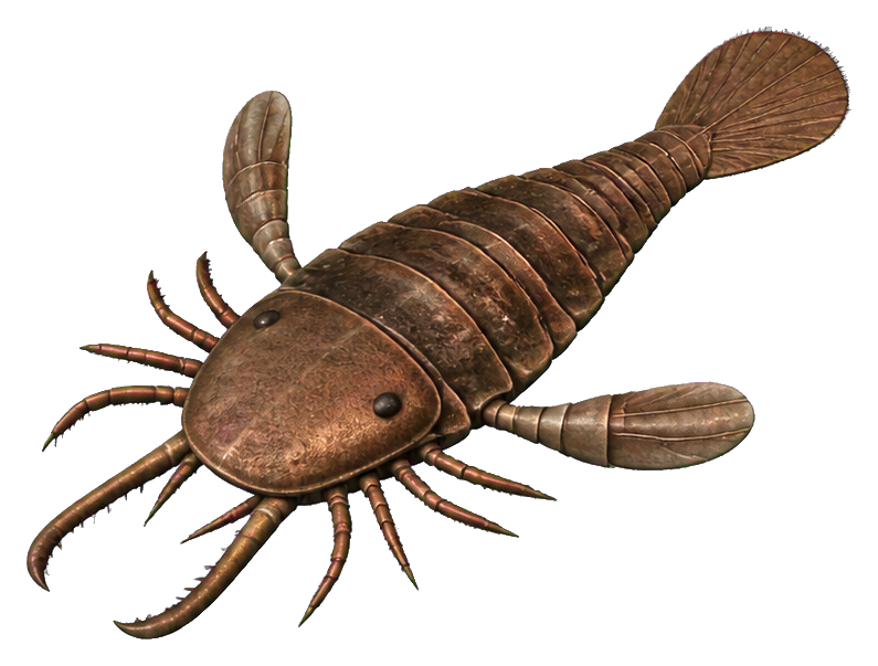 Illustrated brown sea scorpion with curved tail and spiny legs on a light background