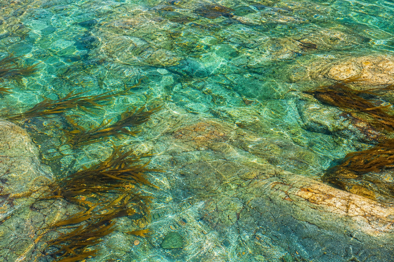 Preview for Turquoise Rock Pool Texture Background