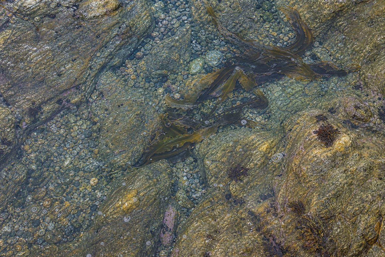 Preview for Clear Rock Basin Stock Background