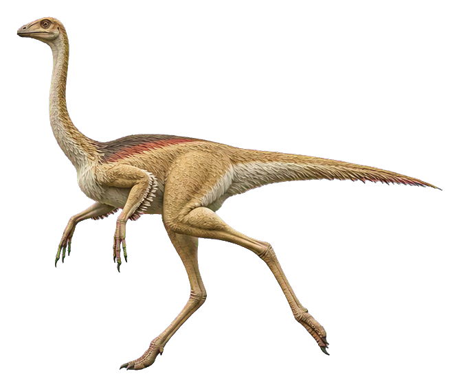 Preview for Gallimimus Stride Realistic Dinosaur Sticker
