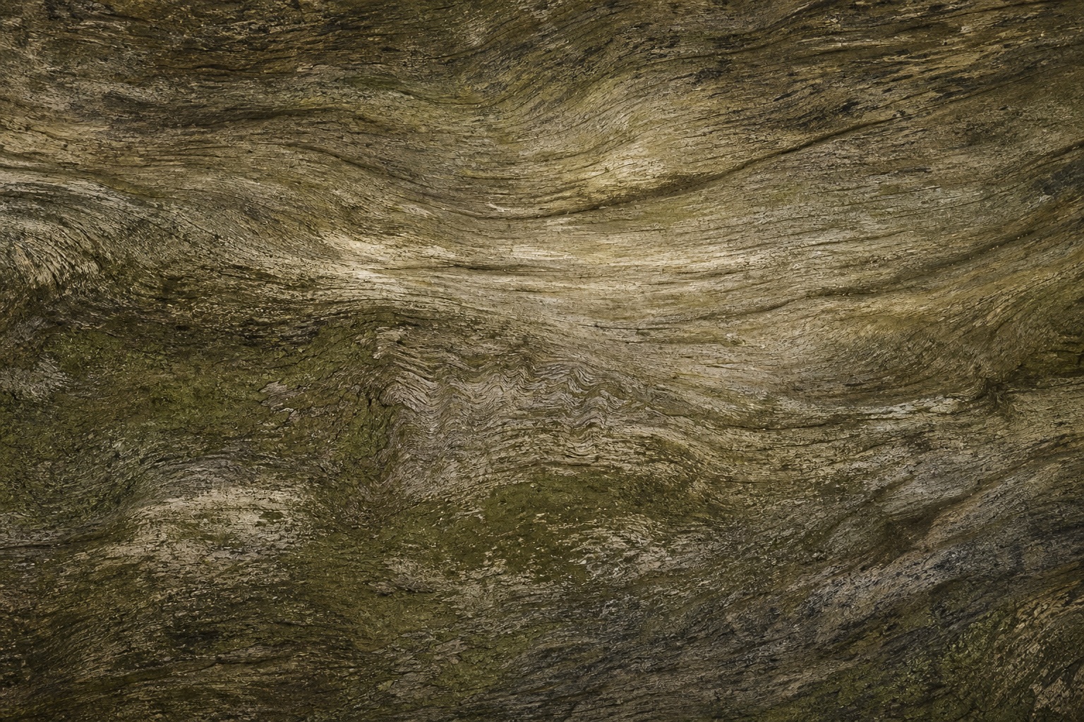 Weathered olive-toned textured surface with visible grain and natural variation