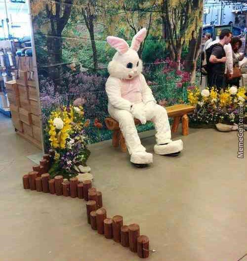 Preview for Easter-bunny-sitting-on-bench-easter-meme-background-2d759