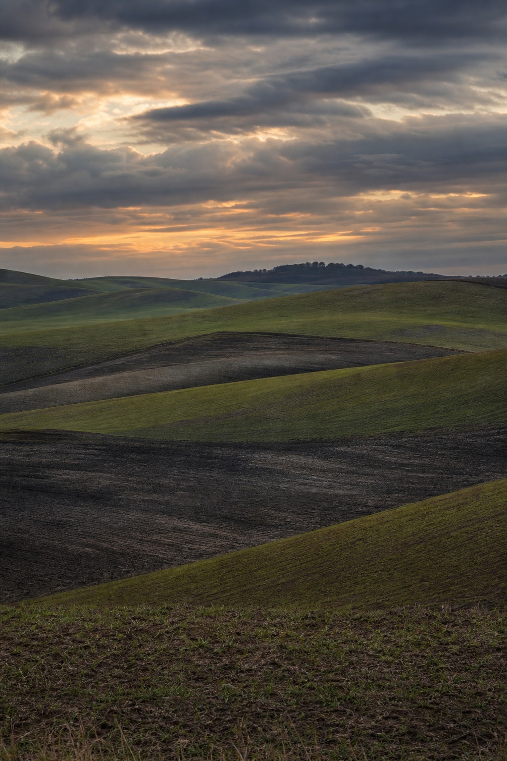 Rolling green farm hills beneath a cloudy dusk sky