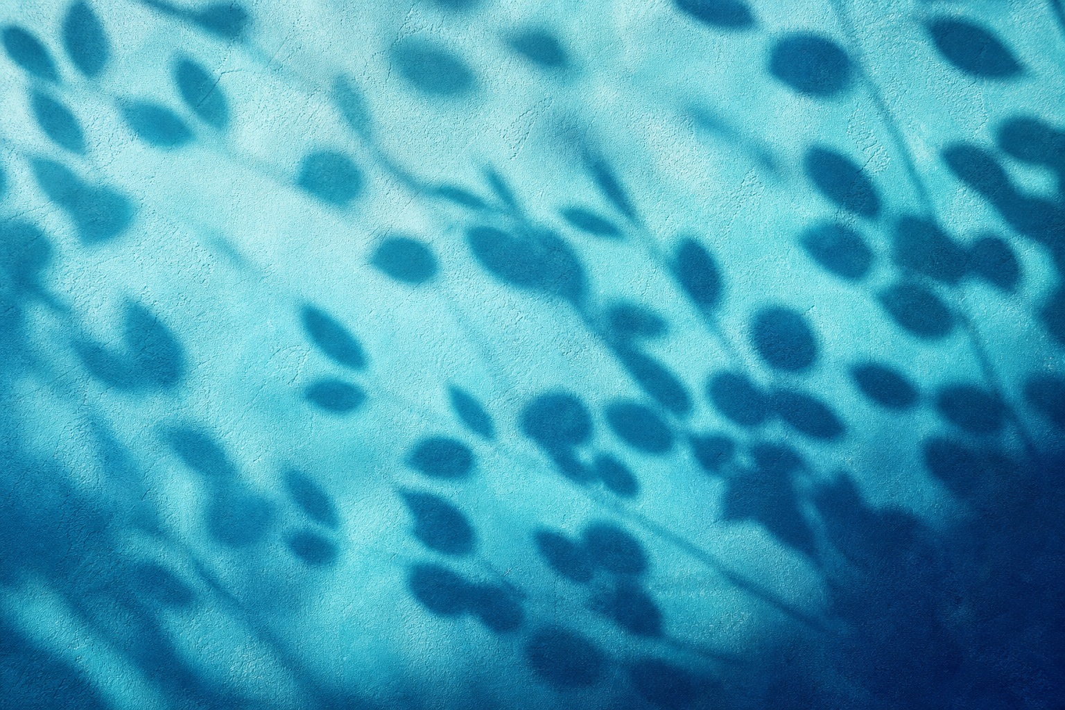 Preview for Aqua Blue Rounded Leaf Shadow Background