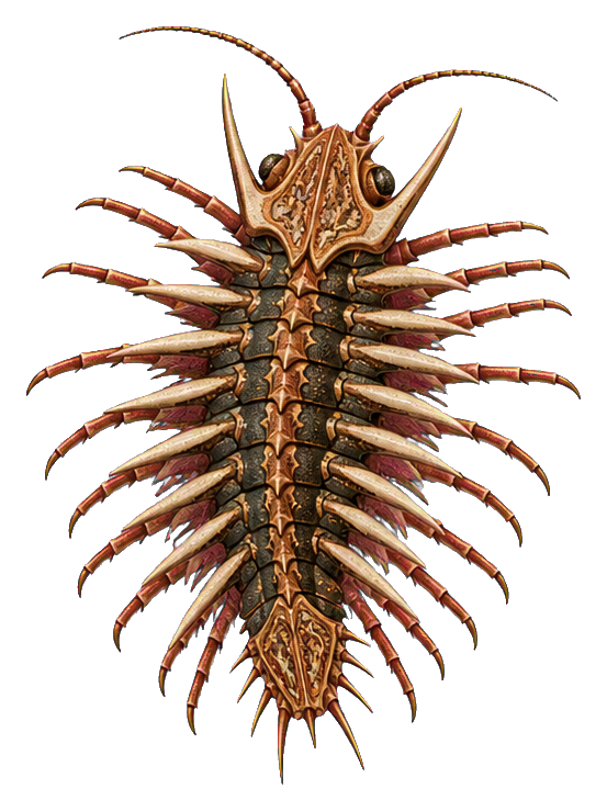 Illustrated star-spined trilobite with segmented body and long spines on a dark background