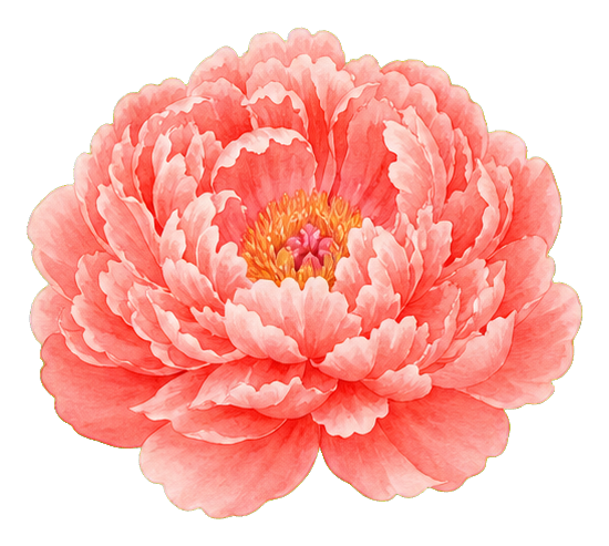 Preview for Coral Watercolor Peony Sticker