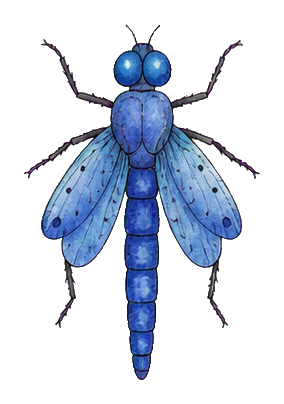 Preview for Blue Dragonfly Sticker Graphic