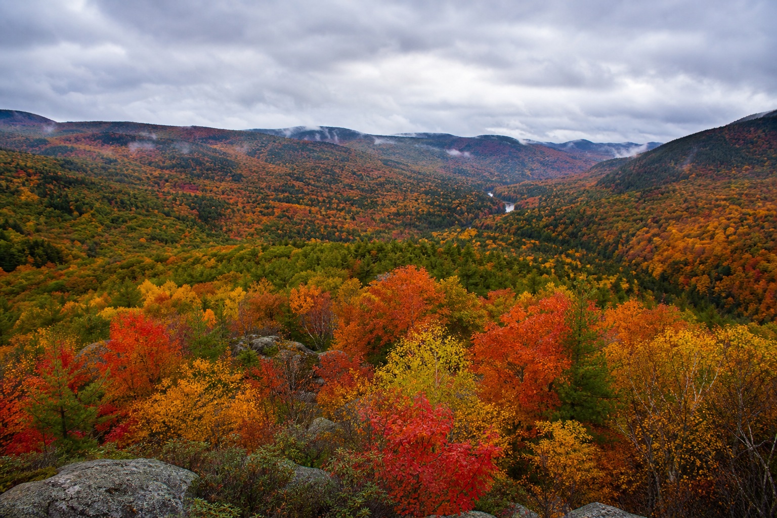 Preview for Soft Overcast Mountain Valley Foliage Background