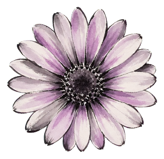Preview for Art Nouveau Daisy Sticker Graphic