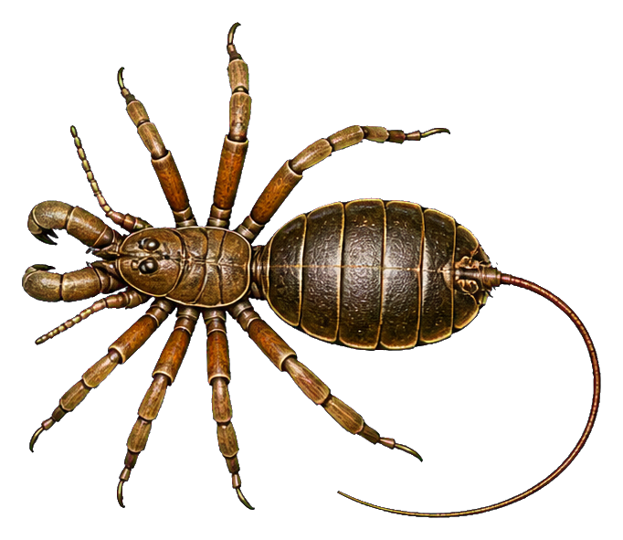 Illustrated prehistoric arachnid with a long tail, brown segmented body, and many legs.