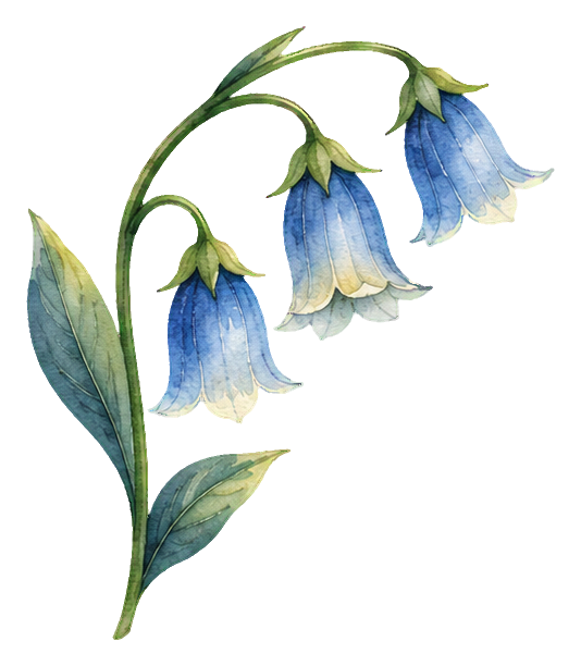 Preview for Watercolor Wildflowers Bluebell