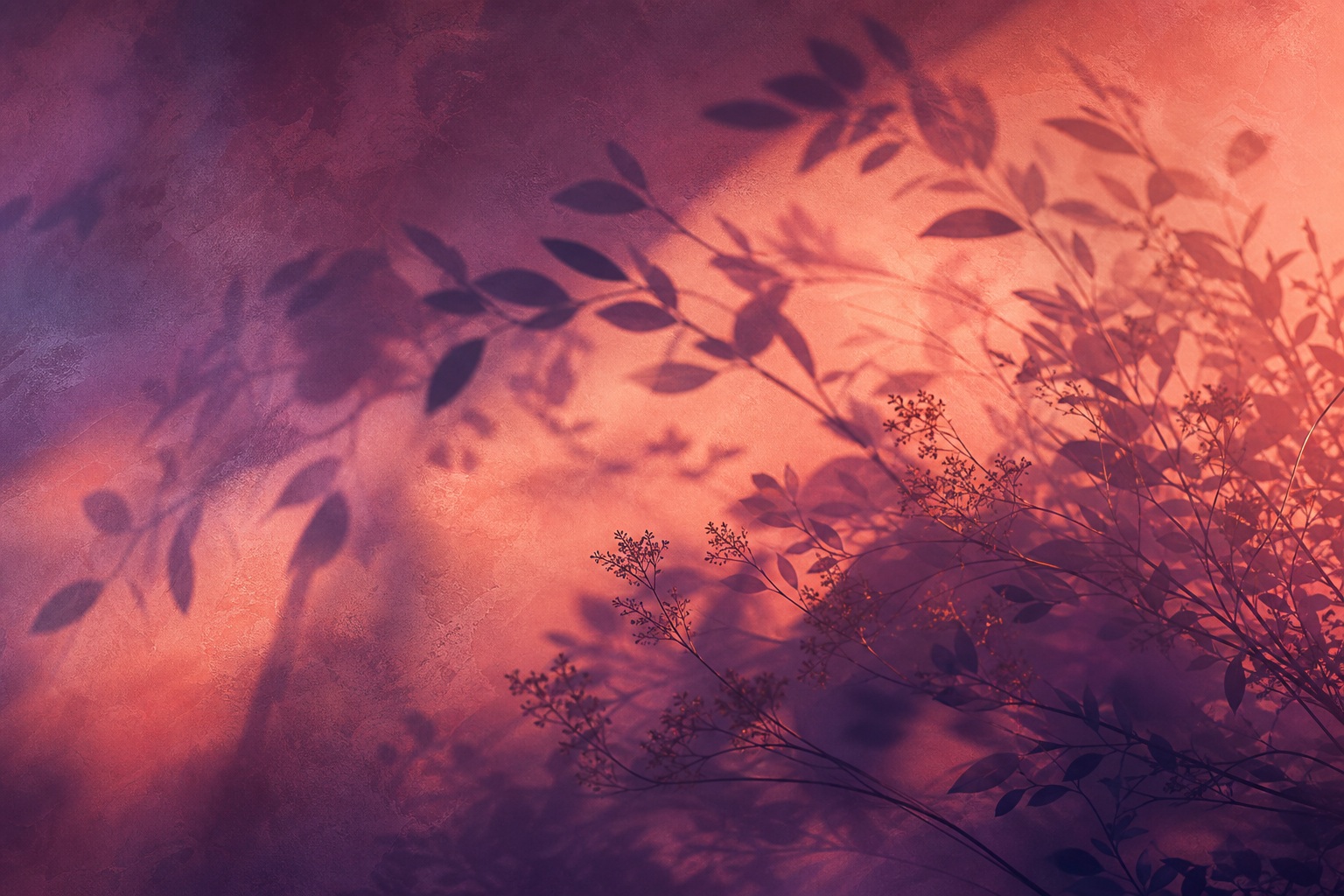 Preview for Plum Coral Botanical Shadow Sweep Background