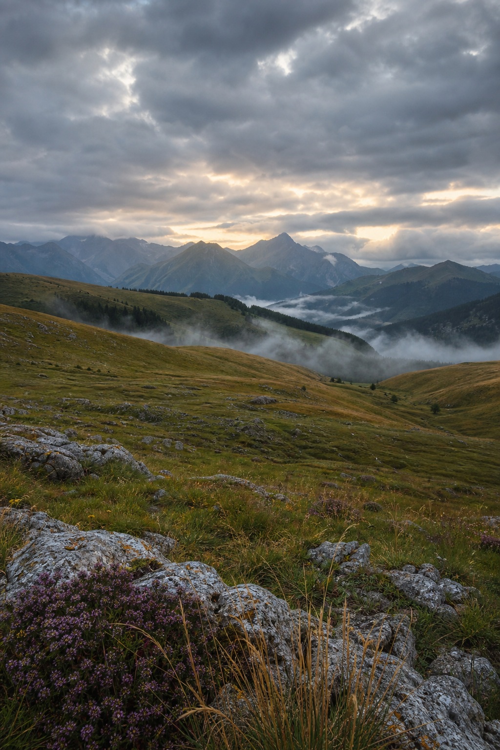 Preview for Cloudy Dusk Mountain Meadow Background