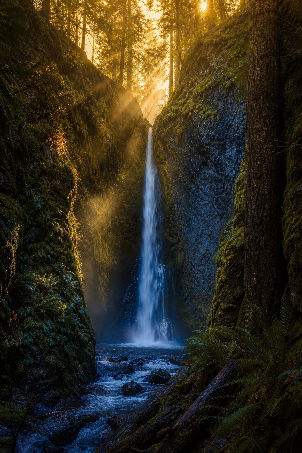 Preview for Sunset Waterfall Forest Gorge Background